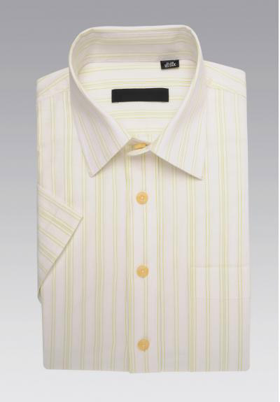 fsl-���r��12