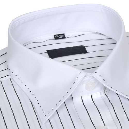 fsl-���r��10